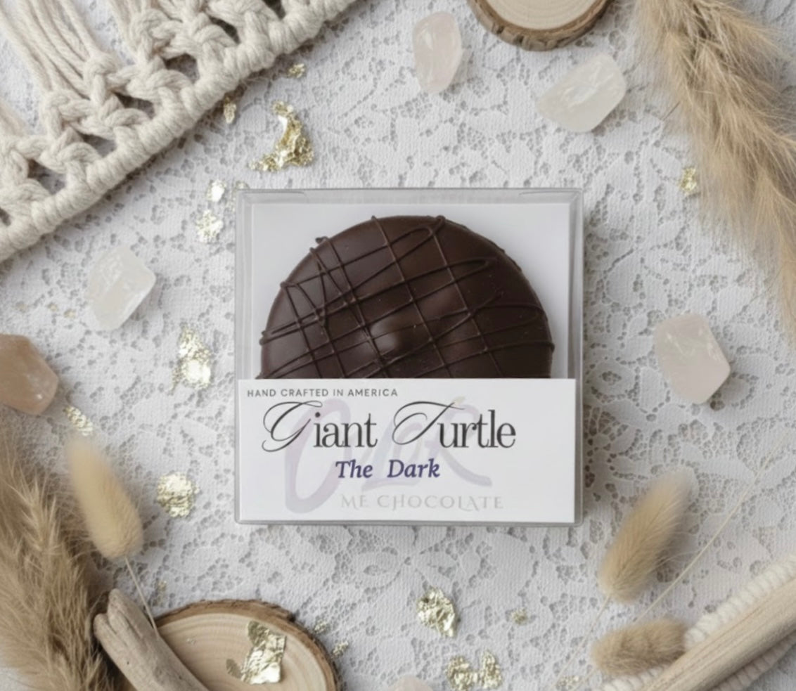 Dark chocolate turtle in a box with decorative elements on a light background