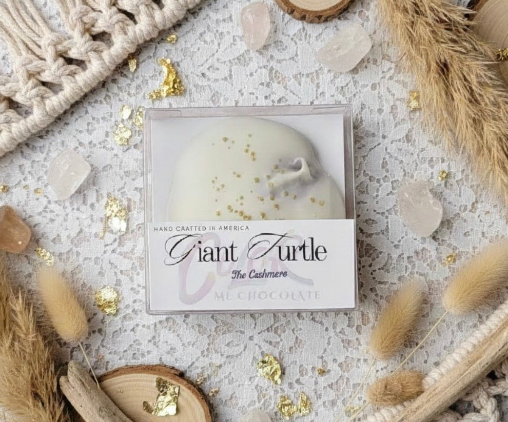 Giant Turtle candle in a box on a decorative surface with crystals and plants.